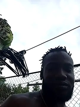 Freechat davidsims on StripChat