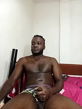 Freechat davidsims on StripChat